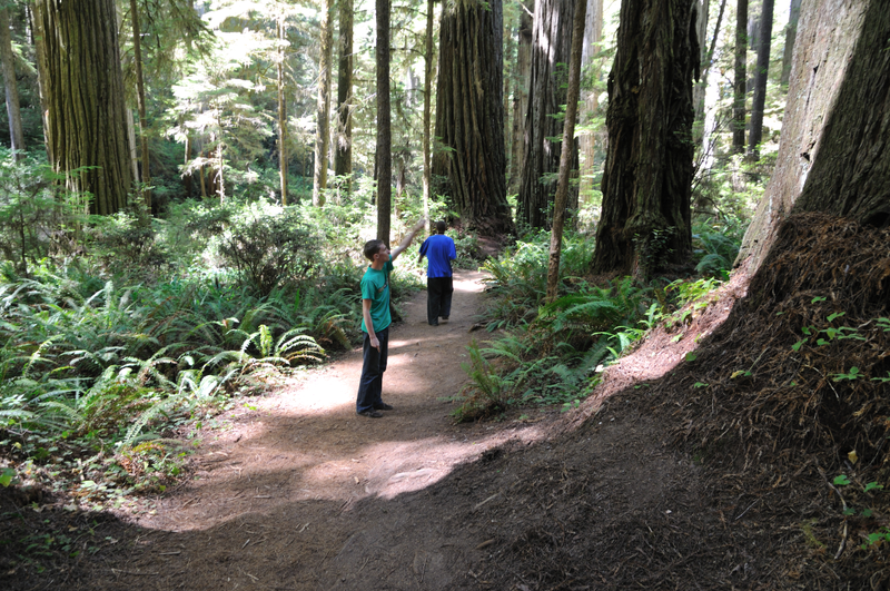 I’m pretty sure Joshua (“Carlos”) was pointing at an Ewok.